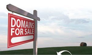 Premium domain names and established websites for sale